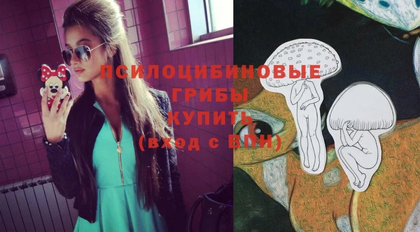 метадон Алексин