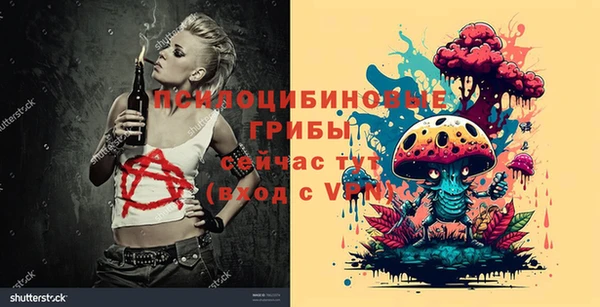 гашик Алексеевка