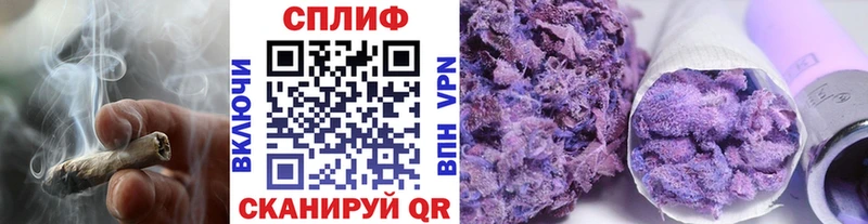 omg онион  Курчалой  Шишки марихуана планчик 